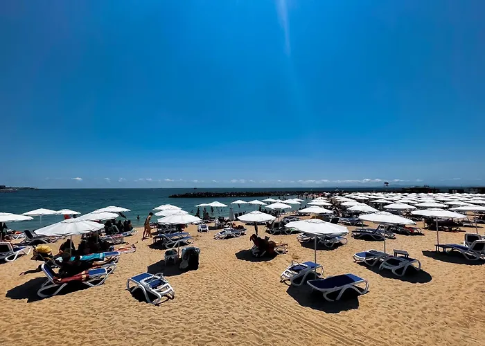 Mint Family Szálloda